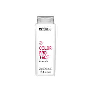 Шампунь для увлажнения и защиты цвета окрашенных волос Morphosis Color Protect Shampoo New 250 ml